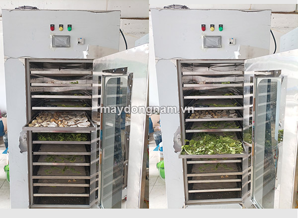 Sấy thử dược liệu cho khách hàng