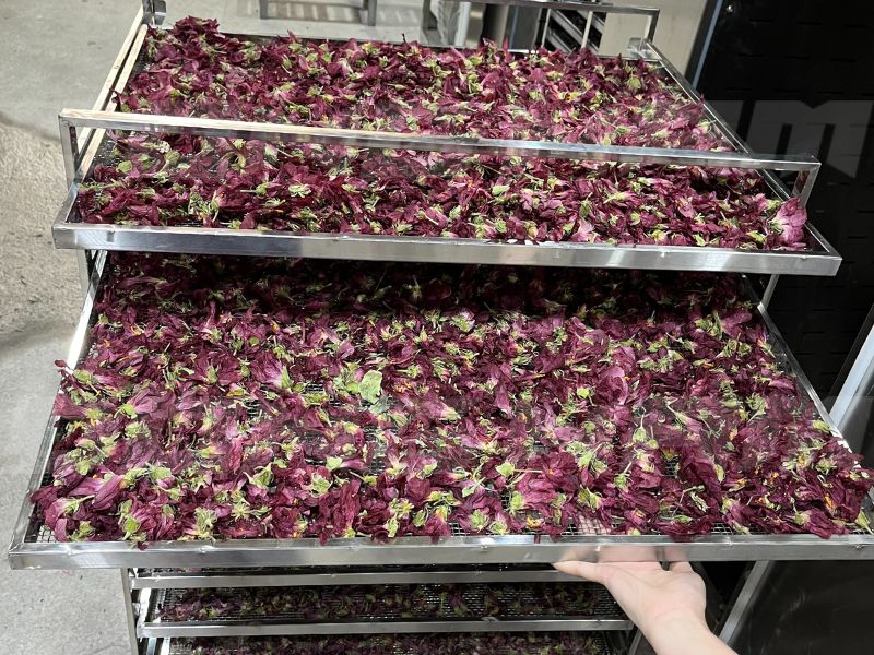 Hoa sâm sấy lạnh cho màu sắc đẹp