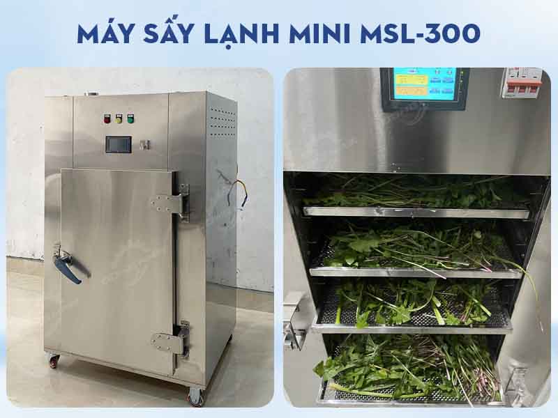 Giá máy sấy lạnh mini