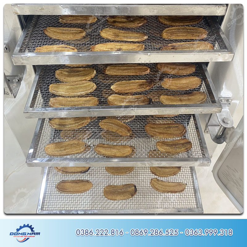 Khay sấy hoa quả