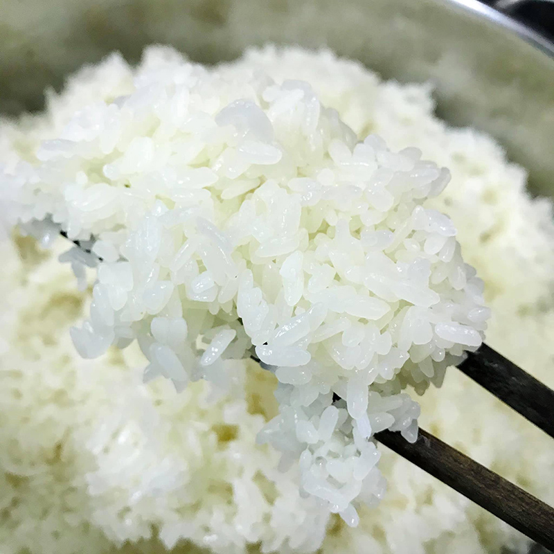 Nấu chín gạo nếp