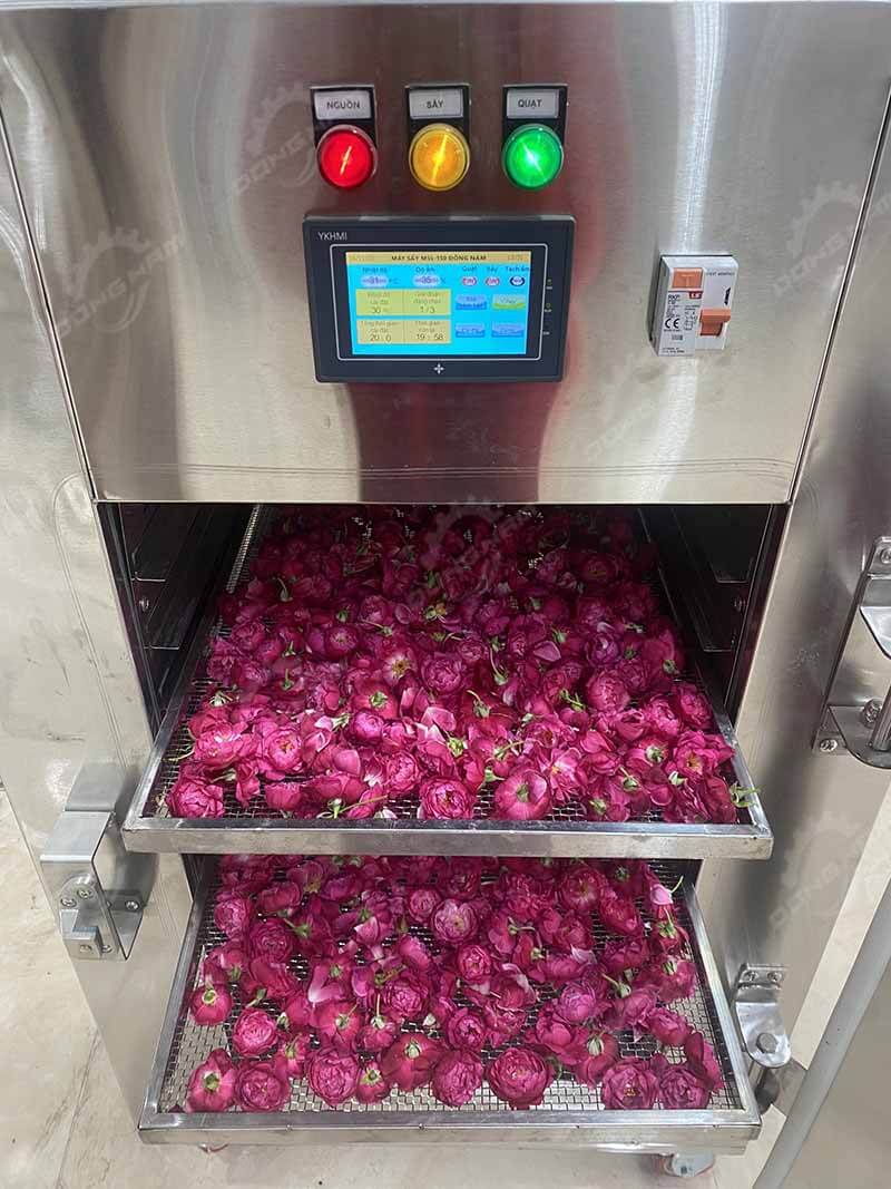 Máy sấy lạnh sấy hoa hồng