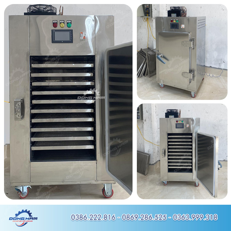 Máy sấy lạnh mini 10 khay