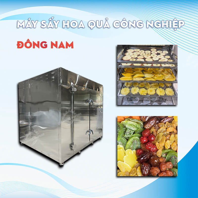 Máy sấy hoa quả công nghiệp