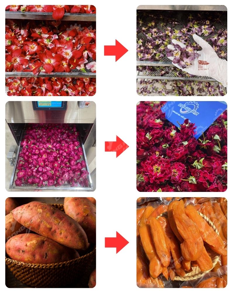 Sản phẩm sấy lạnh