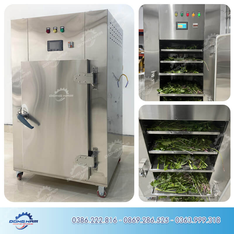 Máy sấy nhiệt sấy rau