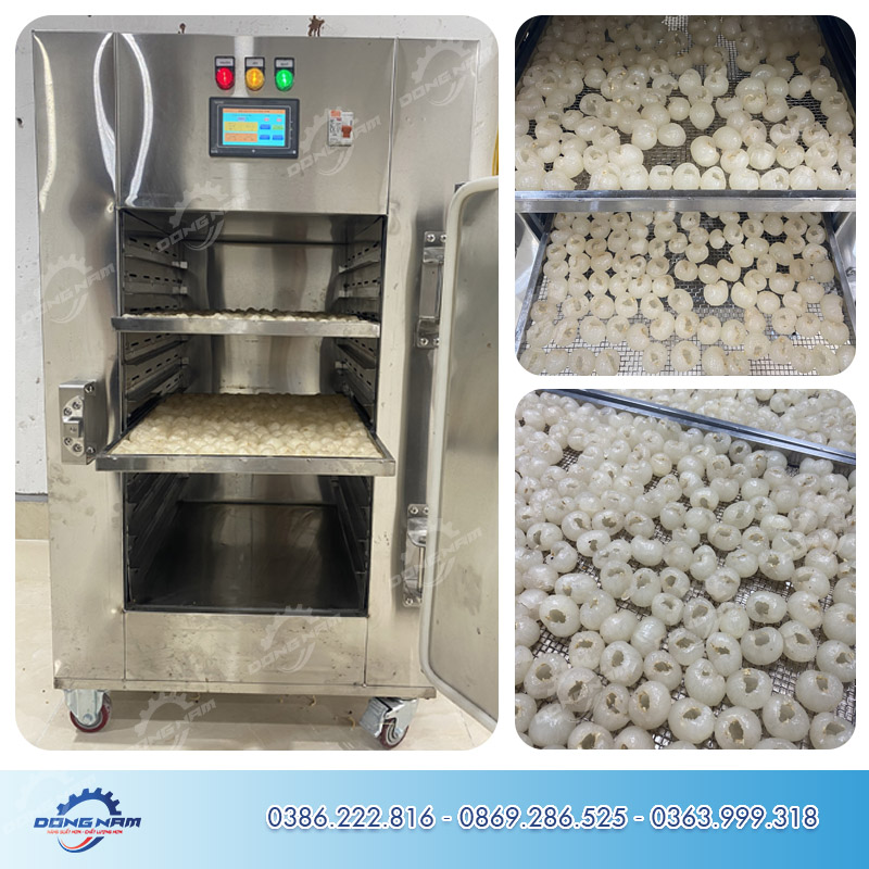 Máy sấy nhãn Đông Nam