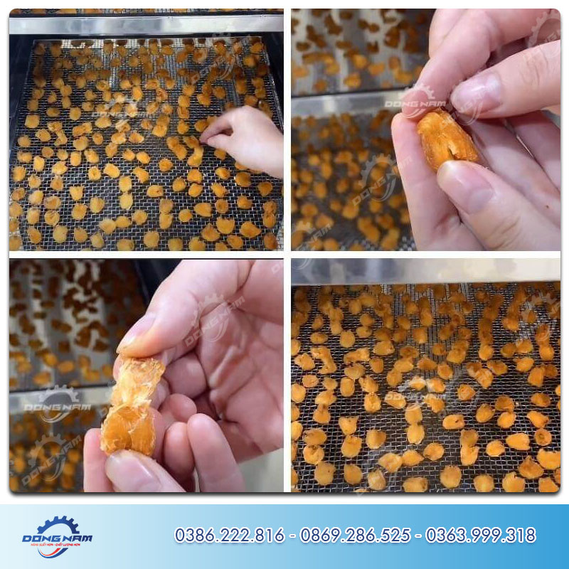 Long nhãn sấy Đông Nam