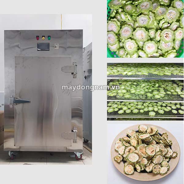 Sấy thực phẩm rau củ quả, nông sản