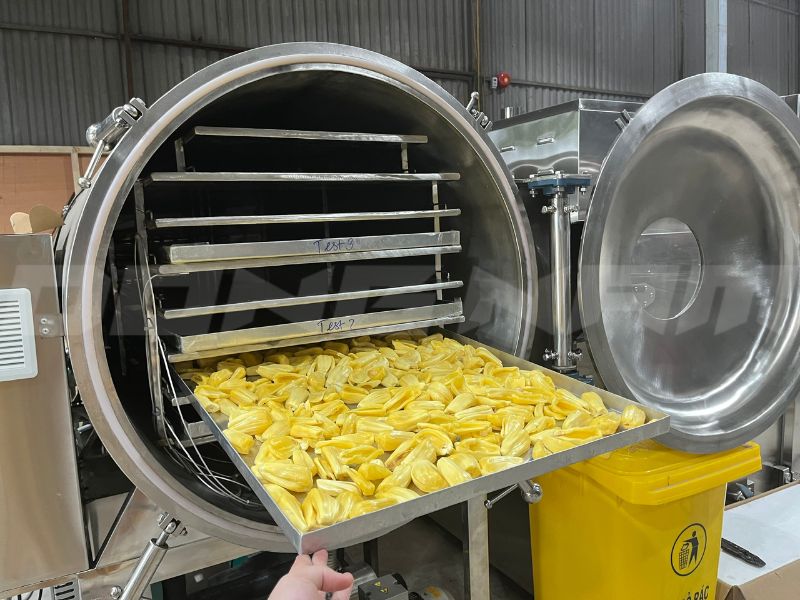 Sơ chế và rải đều nguyên liệu lên khay sấy