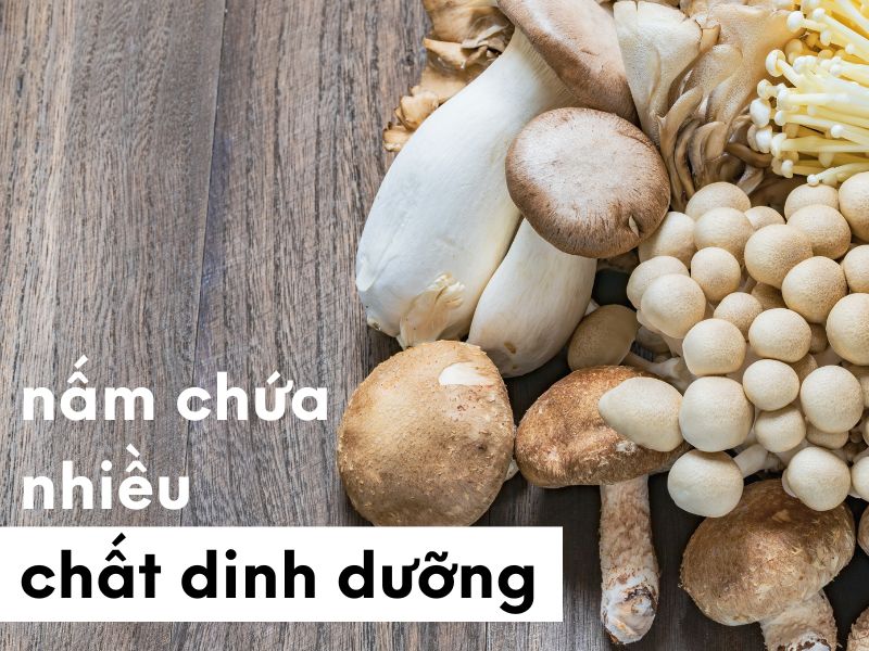 Nấm chứa nhiều chất dinh dưỡng