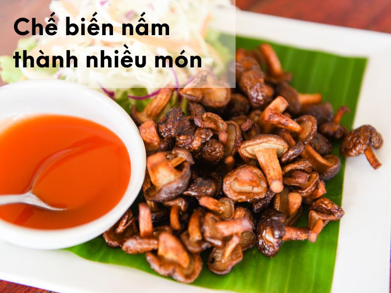 Chế biến nấm thành nhiều món ăn