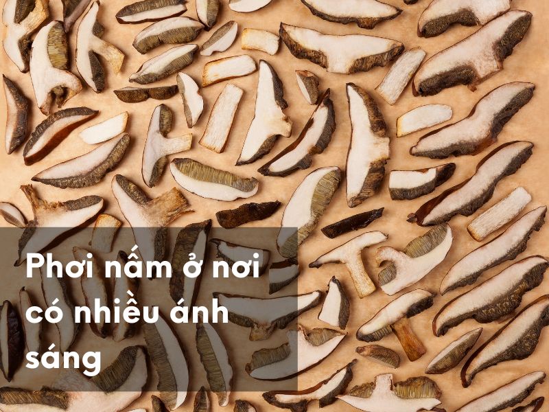 Phơi nấm ở nơi có nhiều ánh sáng