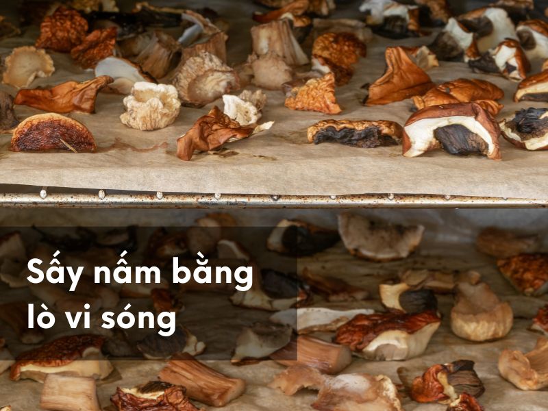 Sấy nấm bằng lò vi sóng