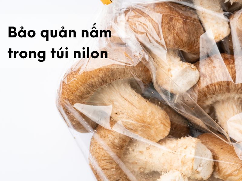 Bảo quản nấm trong túi nilon