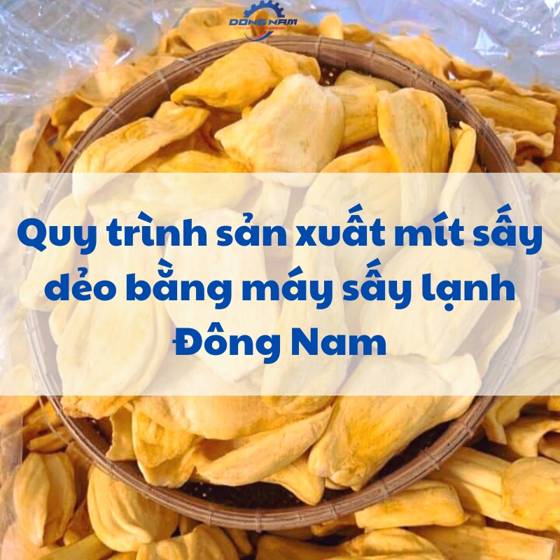 Quy trình sản xuất mít sấy dẻo, mít sấy giòn hiện đại nhất