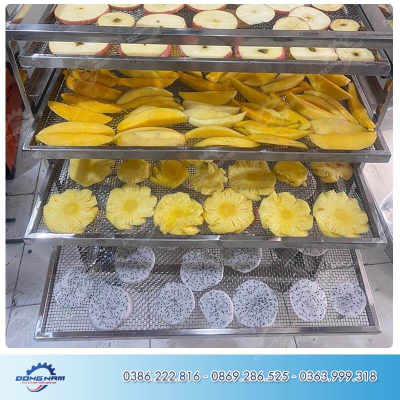 Dải đều thanh long lên khay sấy