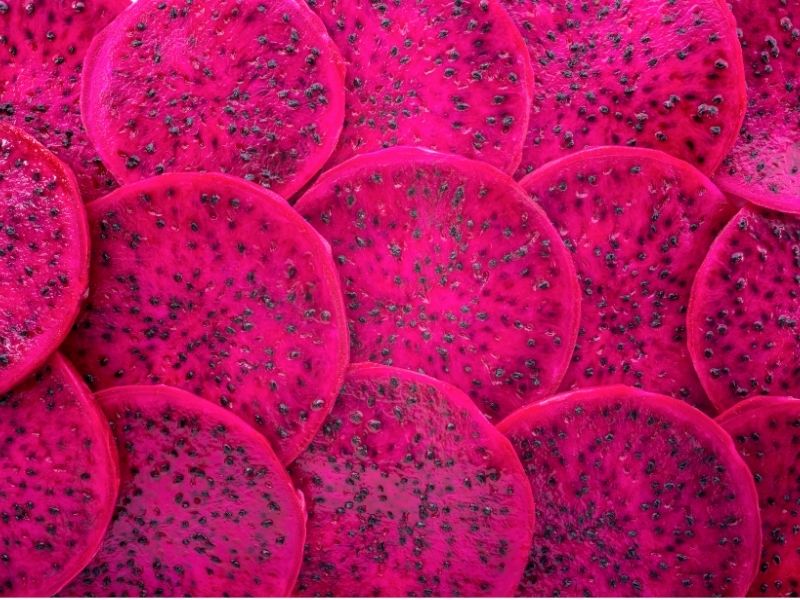 Cắt thanh long thành những miếng nhỏ