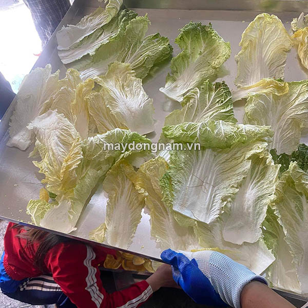 Rau sấy thăng hoa giữ nguyên màu sắc, hình dạng, khối lượng