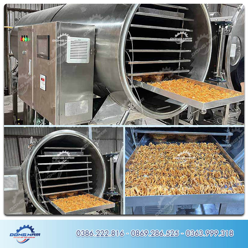 Tủ sấy thăng hoa công nghiệp Đông Nam
