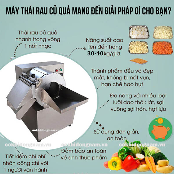 Máy thái rau củ quả Đông Nam