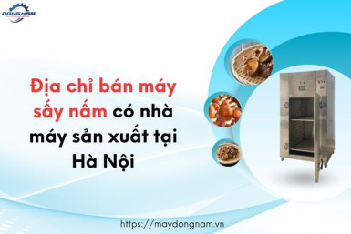 Địa chỉ bán máy sấy nấm có nhà máy sản xuất tại Hà Nội
