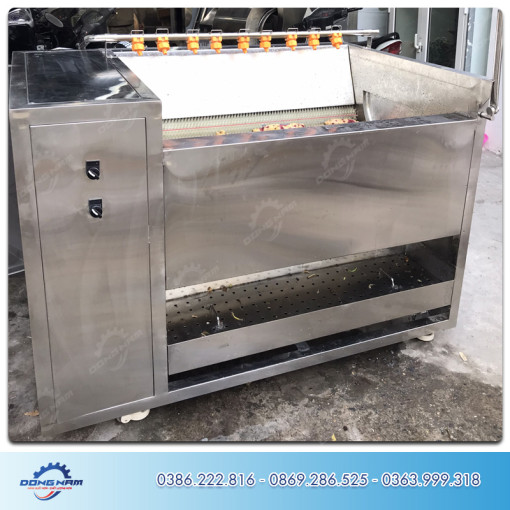 Máy rửa khoai lang, khoai tây, củ cải, cà rốt, nghệ, gừng