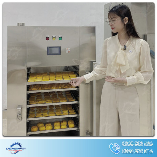 Máy sấy thịt mini, sấy khô gà, khô bò, Giá Tại Xưởng