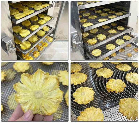 Máy sấy lạnh 10kg Máy sấy lạnh 10kg