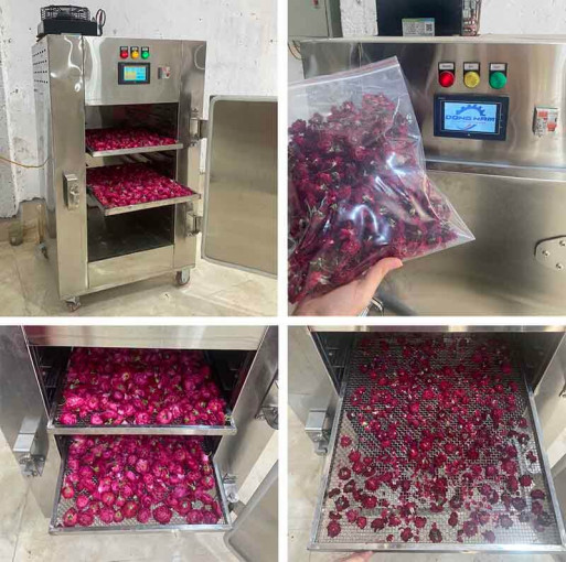 Máy sấy lạnh mini gia đình Máy sấy lạnh mini gia đình