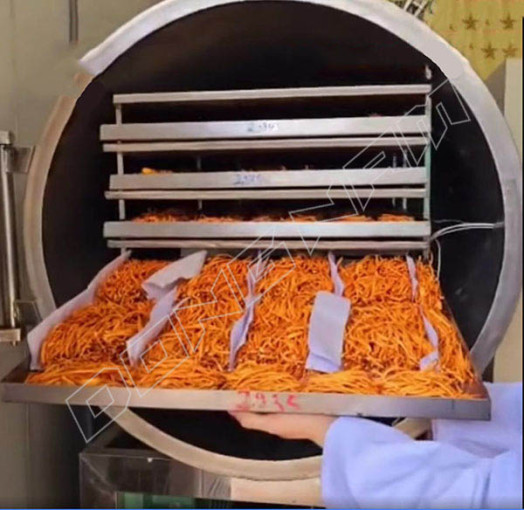 Máy sấy thăng hoa đông trùng hạ thảo