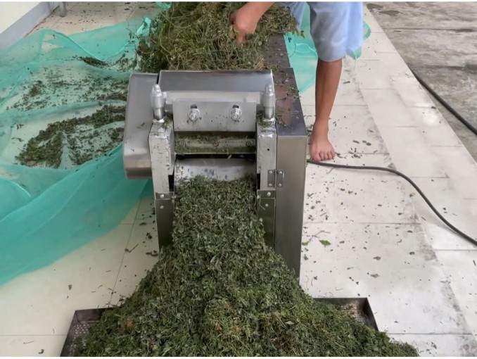 Máy cắt dược liệu, thuốc nam 