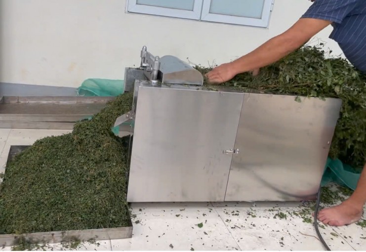 Máy thái thuốc nam công nghiệp